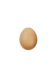EGG EARRING